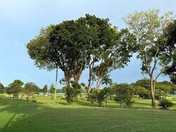 The Miltonia Residences (D27), Condominium #449971411